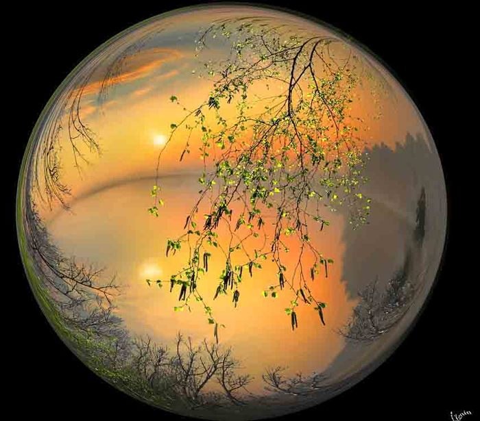 Igor Zenin - 3