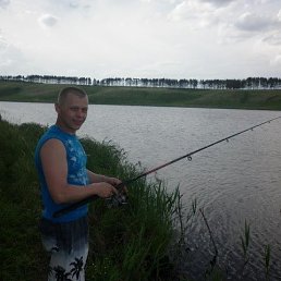 ������, ���������, 41 ���