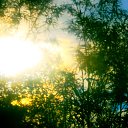 ���� Sergey, ������, 48 ��� - ��������� 8 ���� 2019 � ������ ������ ��������