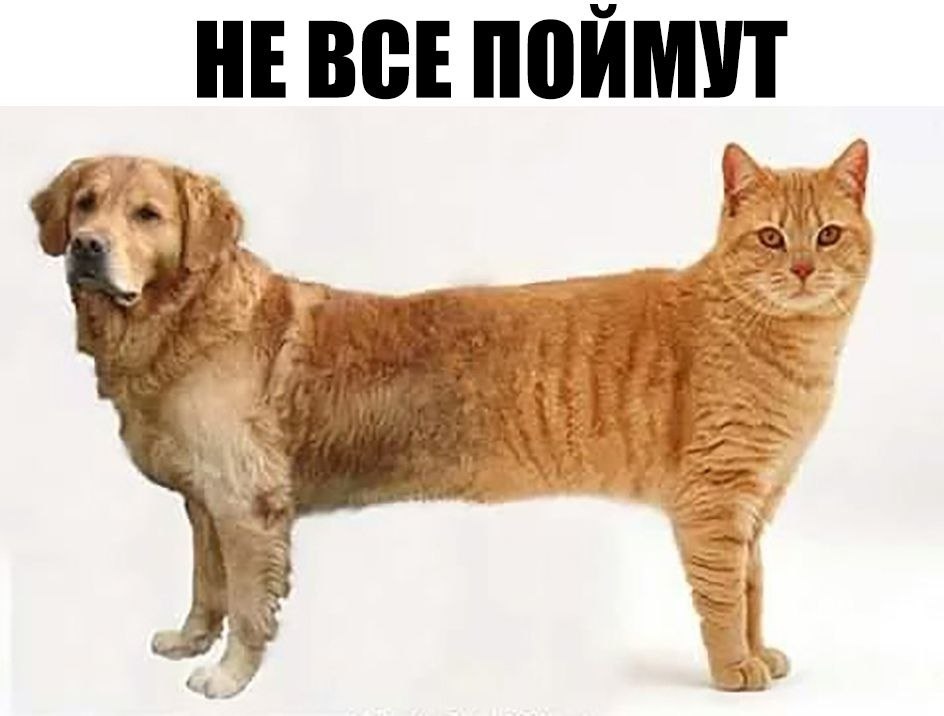    :D - 16  2019  03:42