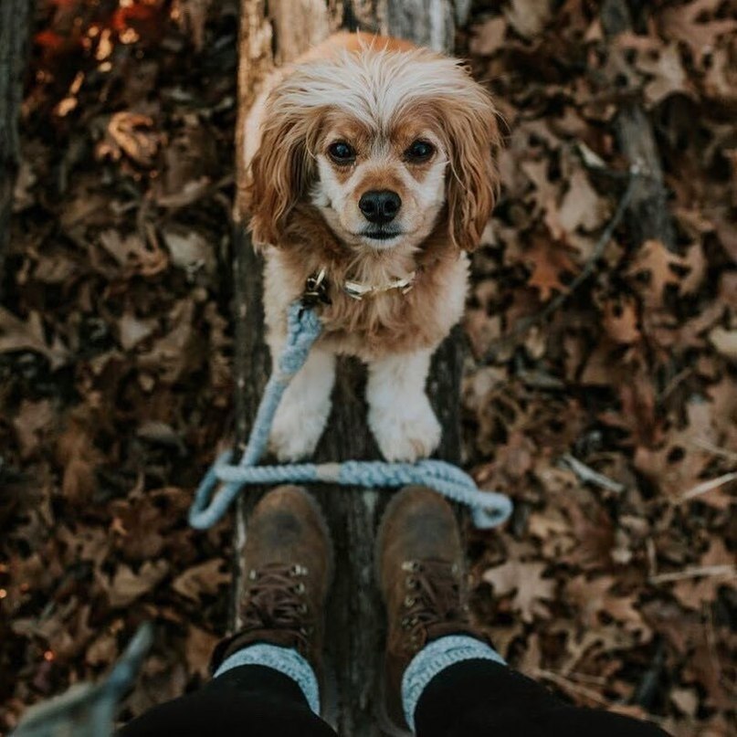  - 8