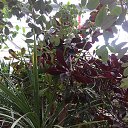 ���� ����, �����������, 50 ��� - ��������� 6 ������ 2019 � ������ ������������� ���