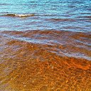 ���� Jurij, ����, 47 ��� - ��������� 19 ������ 2019 � ������ ���� ����������