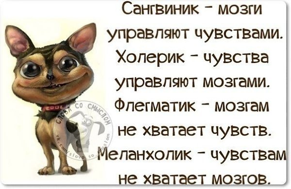 ��� ���� - 11 ������� 2019 � 08:51