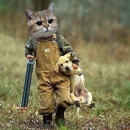 ����, ������, 46 ���