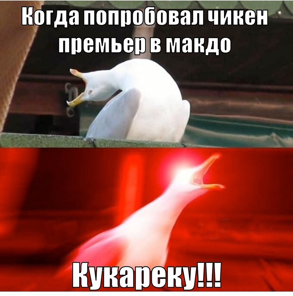    :D - 21  2019  00:34