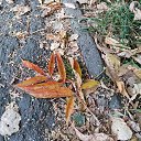  , , 50  -  9  2019    2019