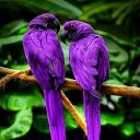 ���� ������ �������, �������, 67 ��� - ��������� 13 ������� 2019 � ������ ������ ����� � ���� .�