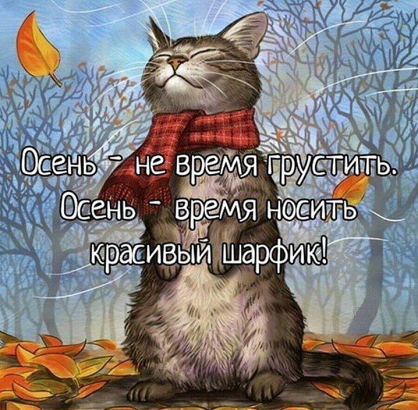  - 10  2019  11:44