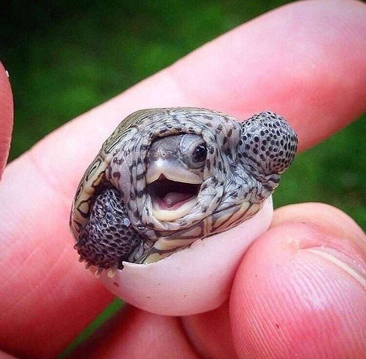  o  o !   !