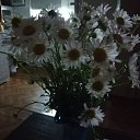 ���� �����, ���������, 56 ��� - ��������� 30 ���� 2019 � ������ �������