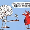 ���� ������, �������, 43 ���� - ��������� 11 ������� 2019 � ������ ���� ����������