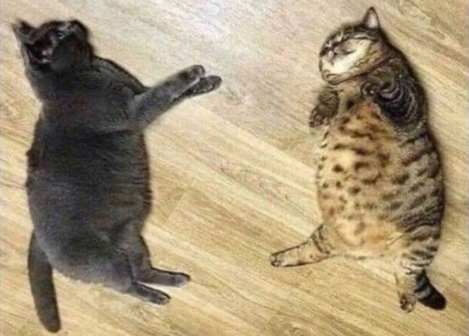    4    .      .       ...