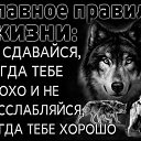 ,   , &ndash; .   &ndash; .   &ndash; .    &ndash; . &copy; -    