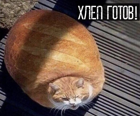  . . - 3