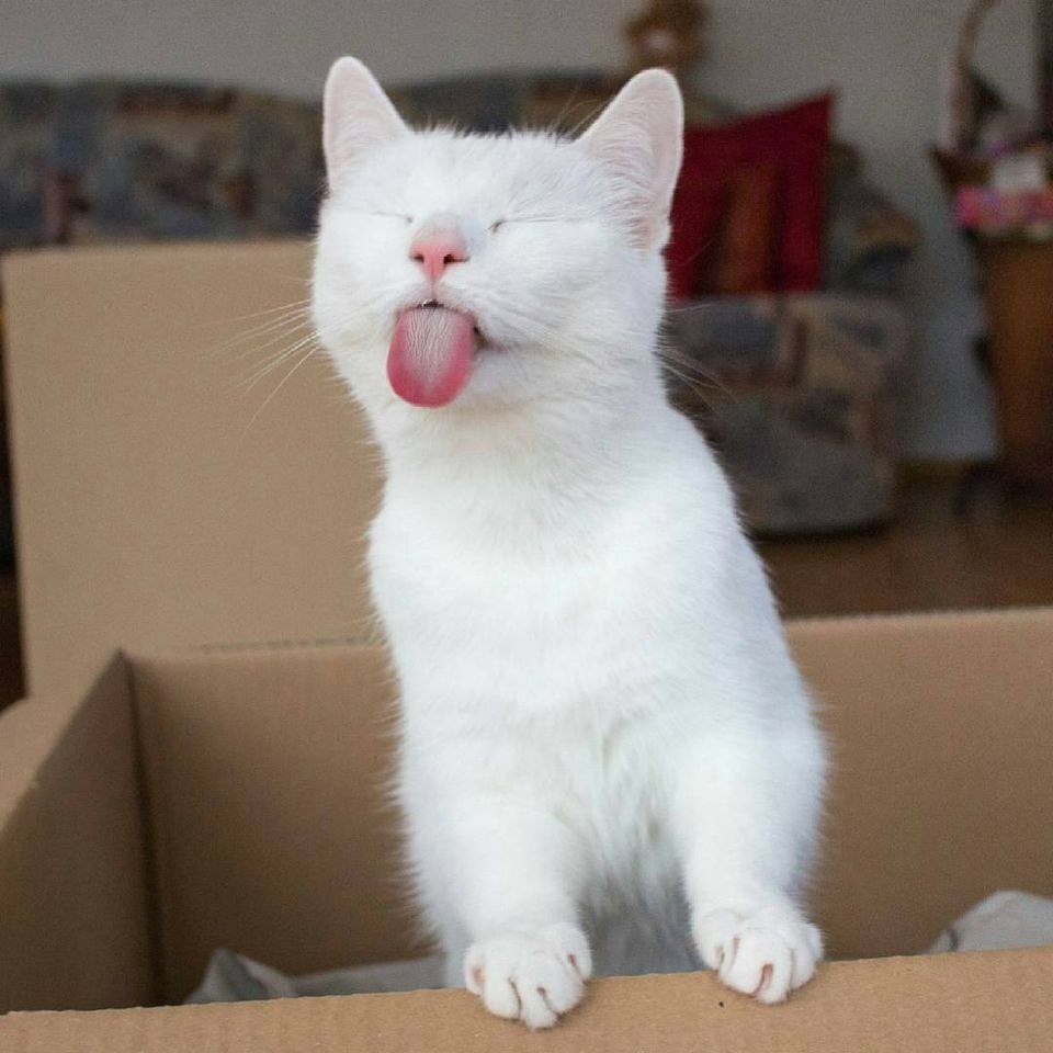   :3 - 2