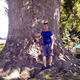 �����, ���������, 55 ���