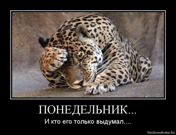 ***Victoria Viktorovna*** - 7 ������� 2019 � 07:02