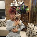 ���� �������, ���������, 51 ��� - ��������� 22 ������ 2019