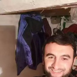 �����, �����-���������, 36 ���