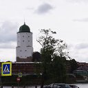 ���� ������, ������, 53 ���� - ��������� 31 ������� 2019 � ������ ���� ����������