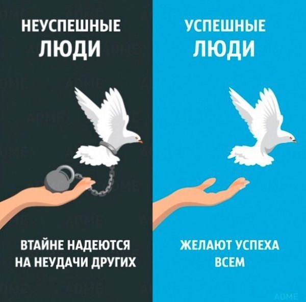 Отличия успешного человека от неуспешного. - 2