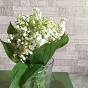 ���� �������, �������� - ��������� 3 ��� 2019 � ������ ������ ��������