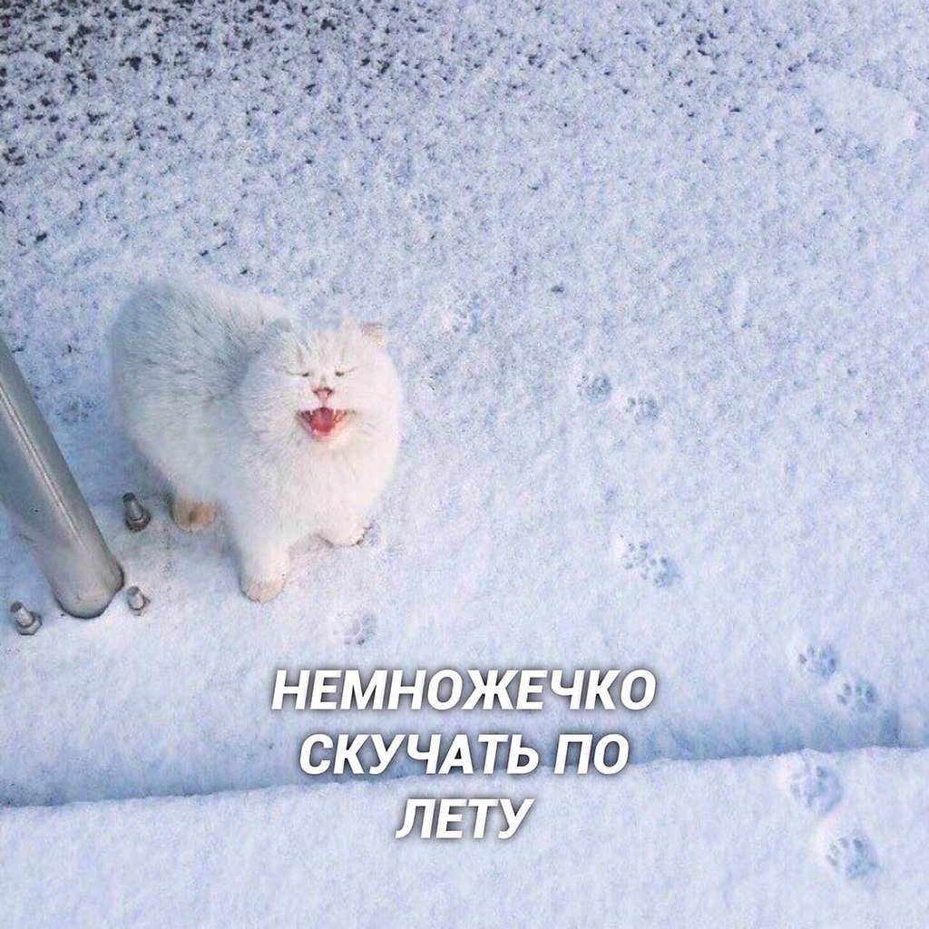  - o... - 2