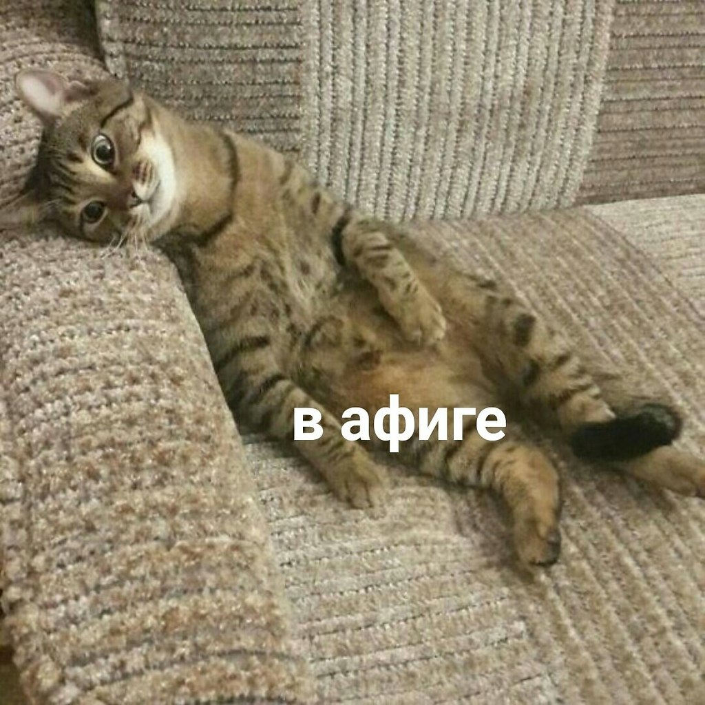       : - 3