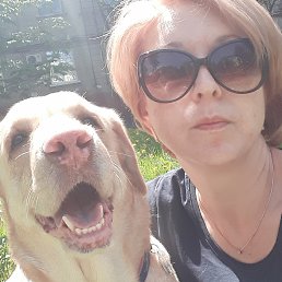 ��������, �������, 50 ���