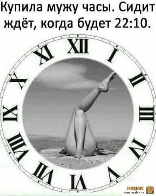 . - 8  2019  16:43
