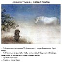 ���� Maffi, ������, 46 ��� - ��������� 11 ������ 2019 � ������ ������ ��������