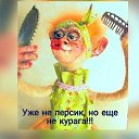 ���� �������, ���������, 54 ���� - ��������� 4 ������� 2019 � ������ ������ ��������