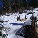 ���� �������, �����, 57 ��� - ��������� 4 ������� 2019 � ������ ���� ����������