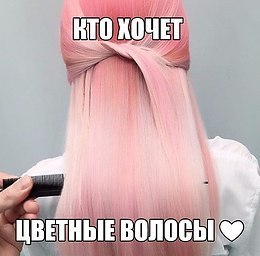   - 12  2019  03:51
