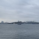  Serzh Van Der Maaremaan,  -  11  2019    