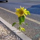  ••,  -  11  2019       ...