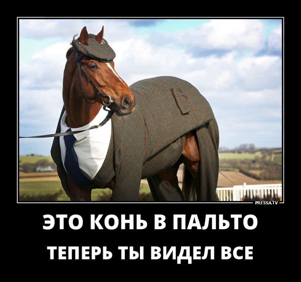   ! - 25  2019  15:30