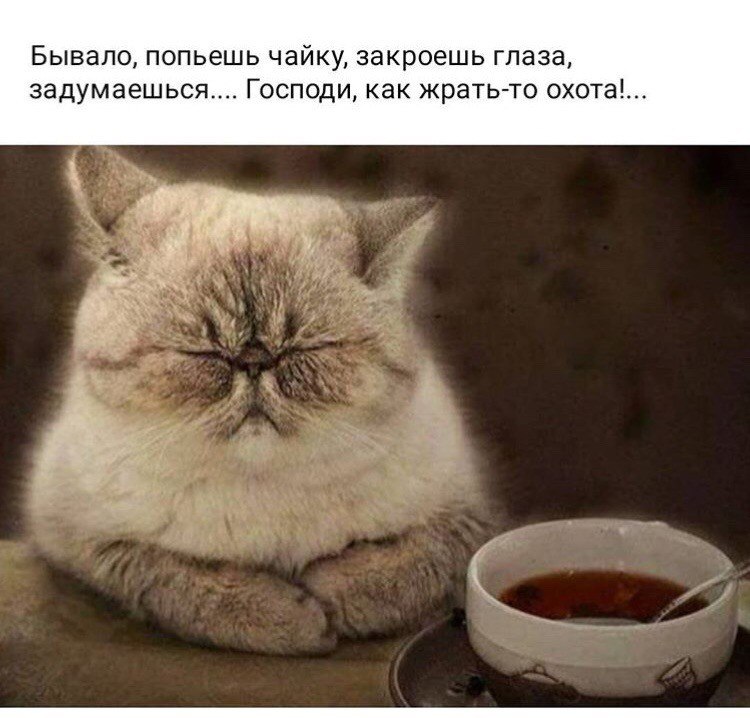 ***Victoria Viktorovna*** - 21  2019  17:17