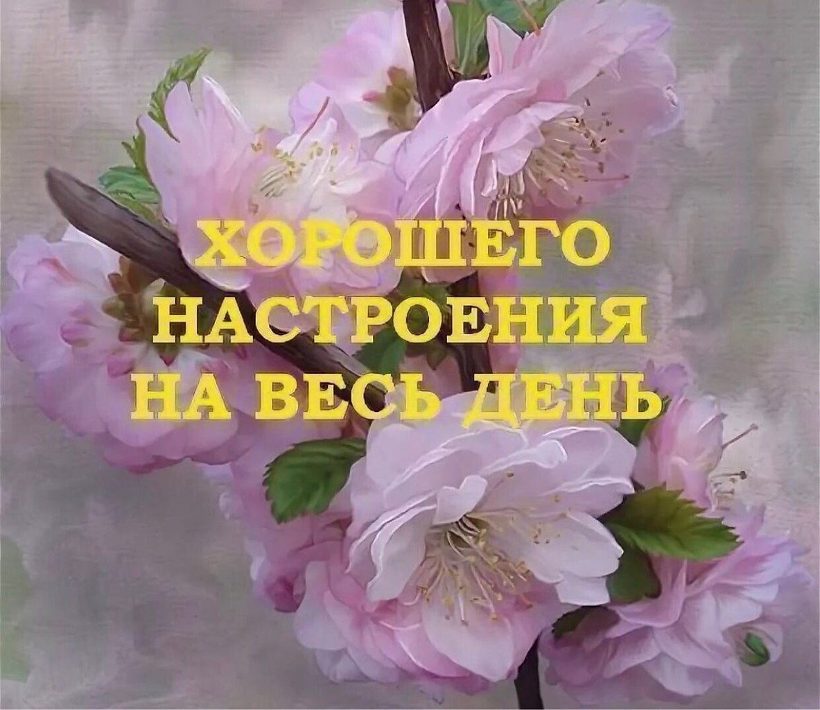 пожелание на весь день