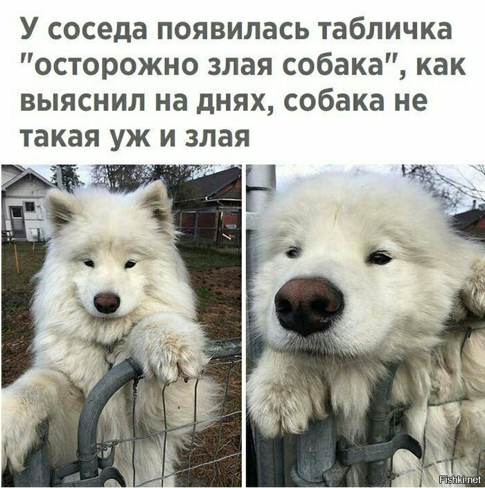   - 15  2019  17:36