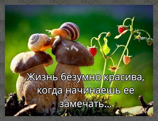 ☆ ☆ - 8  2019  03:41