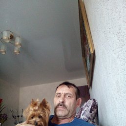 , , 46 