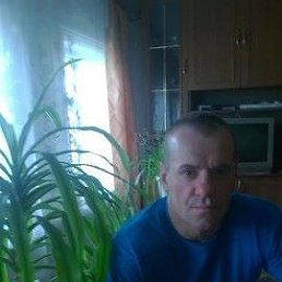 ������, ������, 53 ����