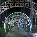 ���� ���������, ������������, 52 ���� - ��������� 24 ������� 2019 � ������ ���� ����������