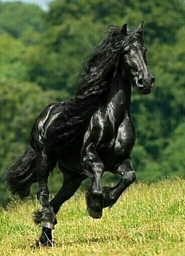  -   ! - 16  2019  03:32