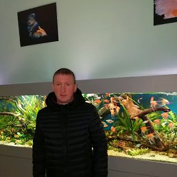 ����, ������, 55 ���