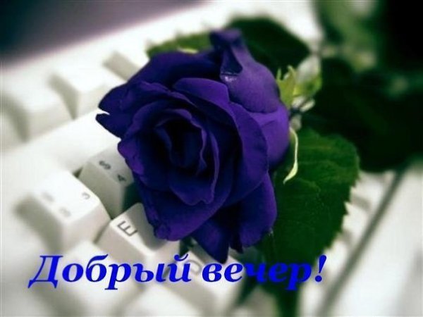   ,    . - 24  2019  16:43