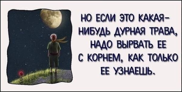 10 самых вдохновляющих цитат из «Маленького принца».#настроение@ican - 9