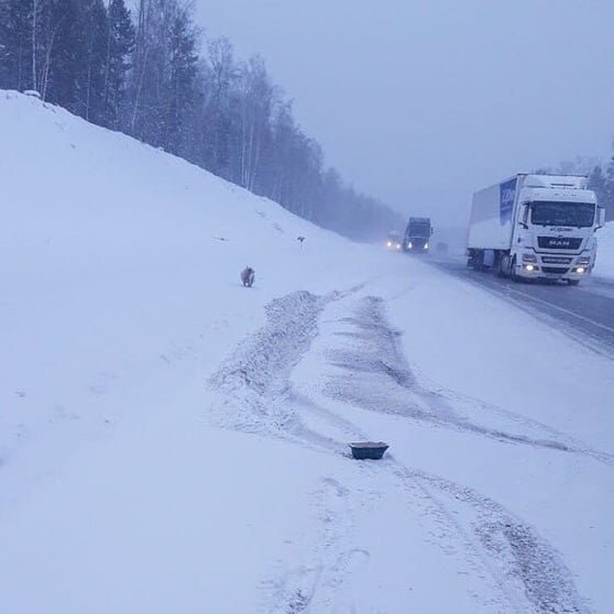  .,       .. - 4